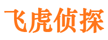 井研婚外情调查取证